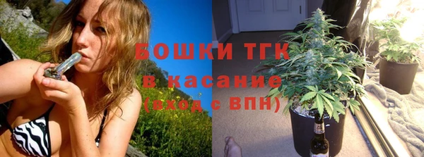 ECSTASY Лагань