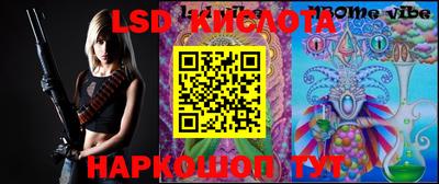 дживик Кимры