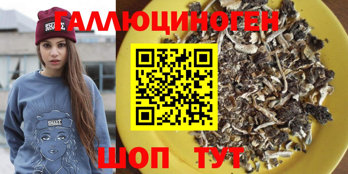 Галлюциногенные грибы GOLDEN TEACHER Якутск