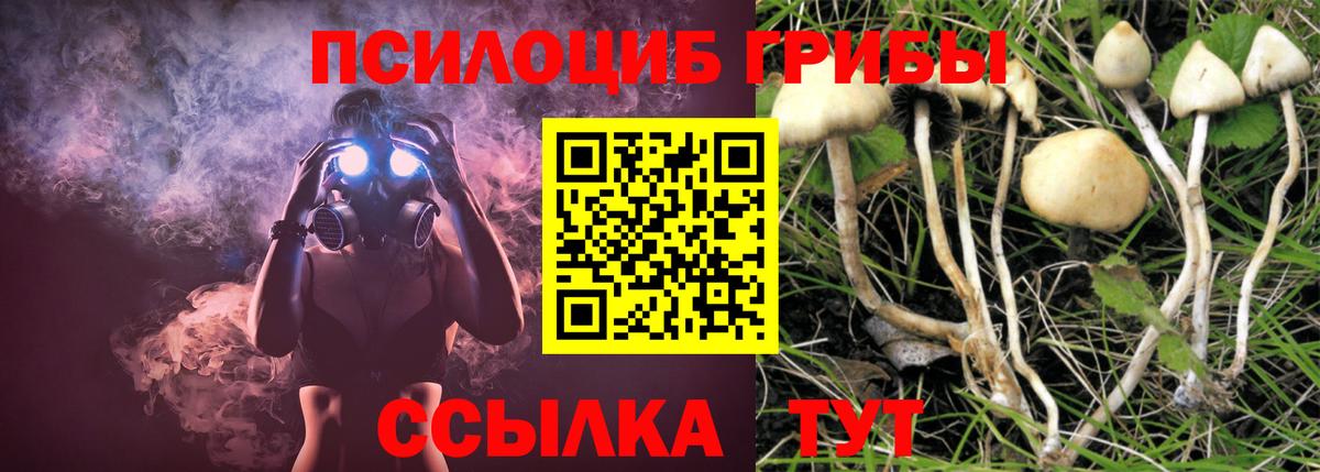 Псилоцибиновые грибы Psilocybine cubensis  Вход с VPN  Якутск  Псилоцибиновые грибы ЛСД 